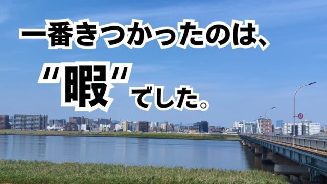 自由になったはずの私が、8月だけ”本気で稼ぐ”理由